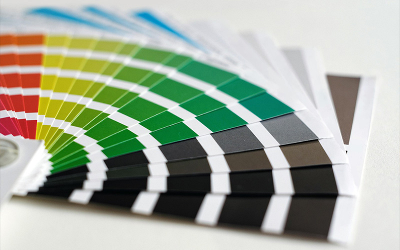 color palette